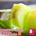 静岡産 アローマメロン マスクメロン アロマメロン 中玉(1...