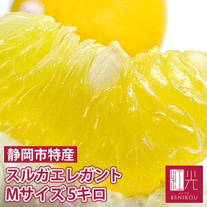 Ųû 륬쥬 M 5kg (1520) ̳ƻ+1100ߡ ̥ե Ų ߤ Ȭ Ų ե롼  ʪ  ָ  ֤䤫   ʸö Ų Ųû fruit