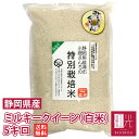 ミルキークイーン　【送料無料】小畑さんのミルキークイーン精米( 白米 )　5kg「北海道・沖縄は+540円」