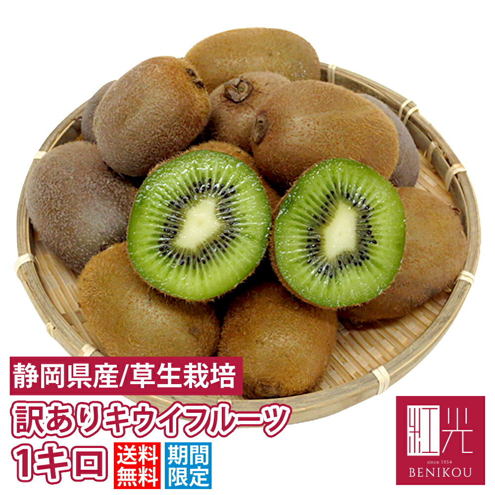 訳あり キウイフルーツ 【送料無料】 静岡産 訳ありフルーツ 1キロ 【安心の低農薬栽培】「北海道・沖縄・その他離島は送料+540円」 果物 フルーツ ジュースのサムネイル
