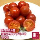 紅光の完熟フルティカトマト 小箱（1kg） 「北海道・沖縄は+1100円」トマト ミニトマト フルーツトマト