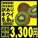 訳あり キウイフルーツ 【送料無料】 静岡産 訳あり キウイ...