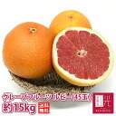 ◆グレープフルーツ ルビー(45玉 約15kg)◆ 柑橘 み...