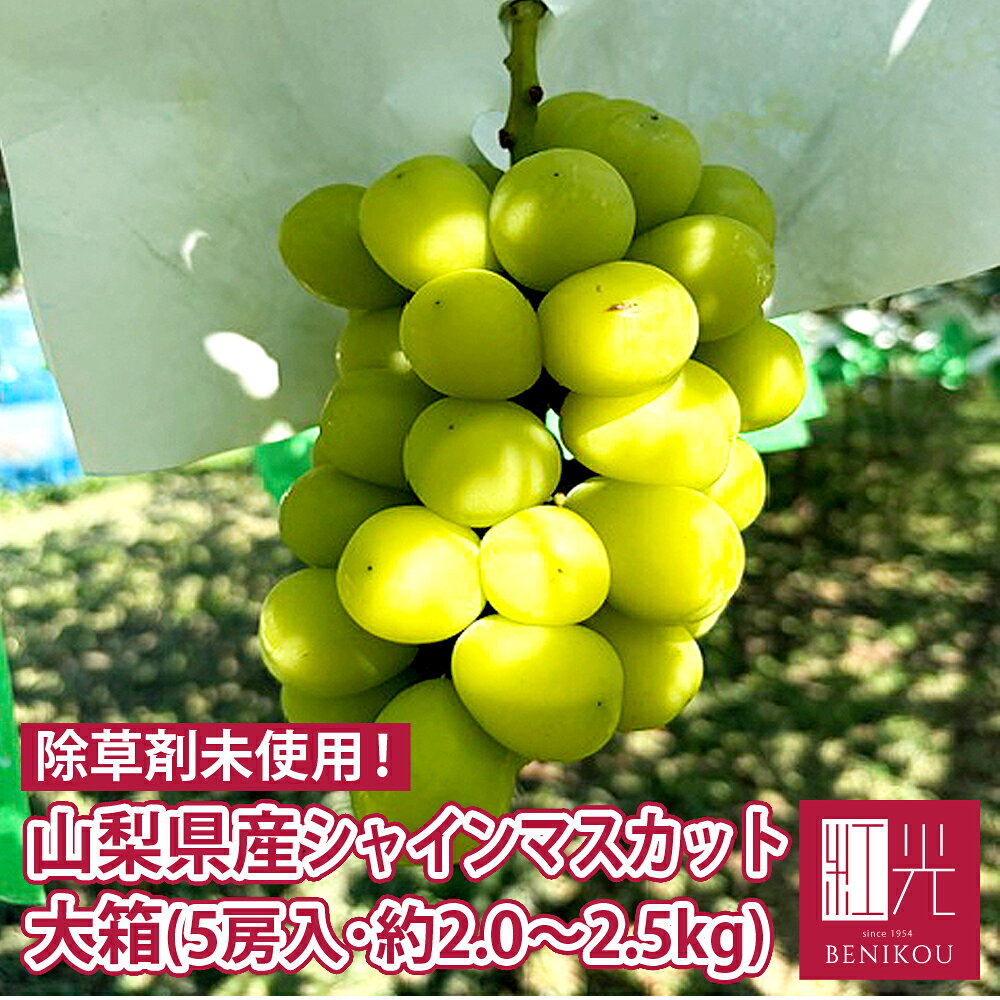 山梨県産 シャインマスカット 温室栽培　粒売り ２.５ｋｇ 山梨県産 シャインマスカット 温室栽培 粒売り 2.5kg シャイン