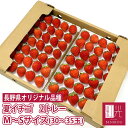 長野産 夏いちご 0.6キロ M〜Sサイズ (30〜35粒)