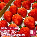 長野産 夏いちご 0.6キロ 2L〜Lサイズ (20〜24粒