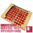 国産いちご 夏いちご 冬いちご 【Sサイズ (35粒〜36粒) 約250g×6トレー】紅ほっぺ きら ...