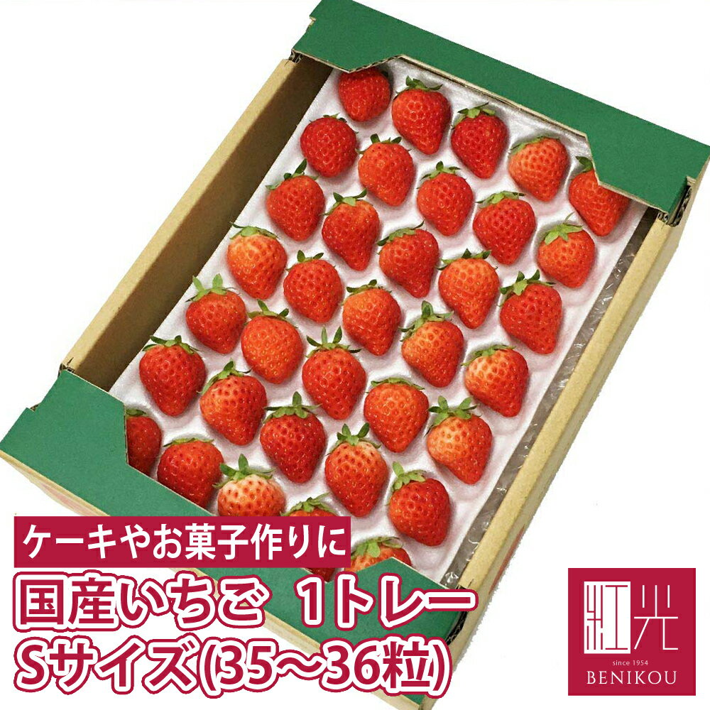 国産いちご 【Sサイズ（35粒〜36粒）約250g×1トレー】 夏いちご 冬いちご 紅ほっぺ きらぴ ...