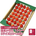 国産いちご 【Sサイズ（35粒〜36粒）約250g×1トレー】 夏いちご 冬いちご 紅ほっぺ きらぴ香 サマープリンセス サマ…