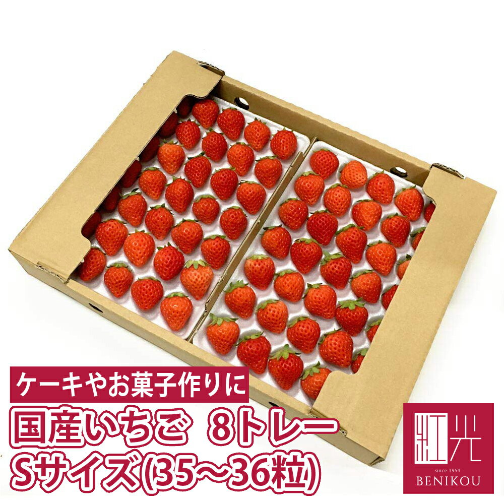 国産いちご 冬いちご 夏いちご 約2.4kg【Sサイズ (35粒～36粒) 約300g×8トレー】紅ほっぺ きらぴ香 サマープリンセス サマーリリカル すずあかね 苺 イチゴ 果物 フルーツ ギフト ストロベリー 業務用 「北海道・沖縄は送料+1100円」