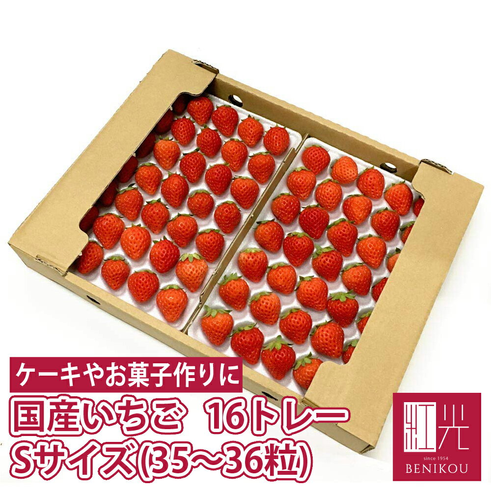 国産いちご 【Sサイズ（35粒〜36粒）約250g×16トレー】 夏いちご 冬いちご 紅ほっぺ きらぴ香 サマープ..