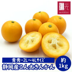 https://thumbnail.image.rakuten.co.jp/@0_mall/benikou/cabinet/kinkann/imgrc0096903886.jpg