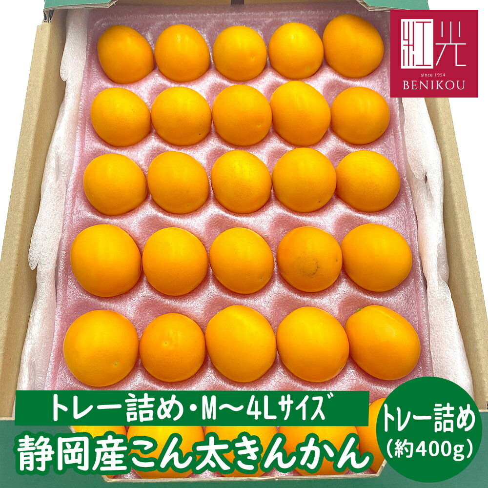 みかん 【今季販売終了間近！】こん太きんかん (M～4Lサイズ)トレー詰め (400g) 「北海道・沖縄は送料＋1100円」 金柑