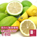 【値下げ!500円OFF!2250円→1750円!】国産レモン 国産 秀品 1kg ノーワックス 防腐剤不使用 静岡産 国産レモン lemon 果物 フルーツ ...