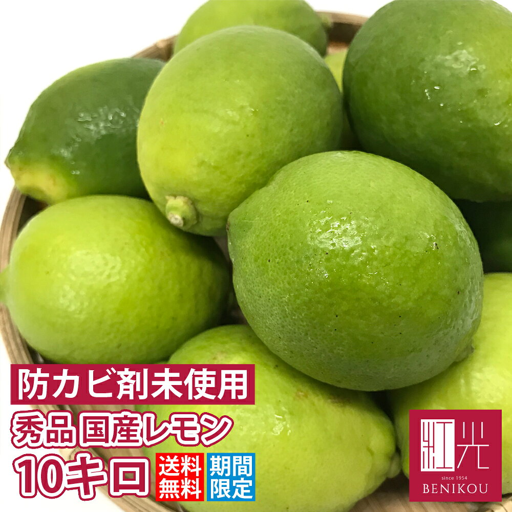 【予約・10月中旬～下旬頃出荷開始予定】国産レモン 国産 秀品 10kg ノーワックス 防腐剤不使用 静岡産 国産レモン lemon 果物 フルーツ あす楽「北海道・沖縄は+1100円」のサムネイル