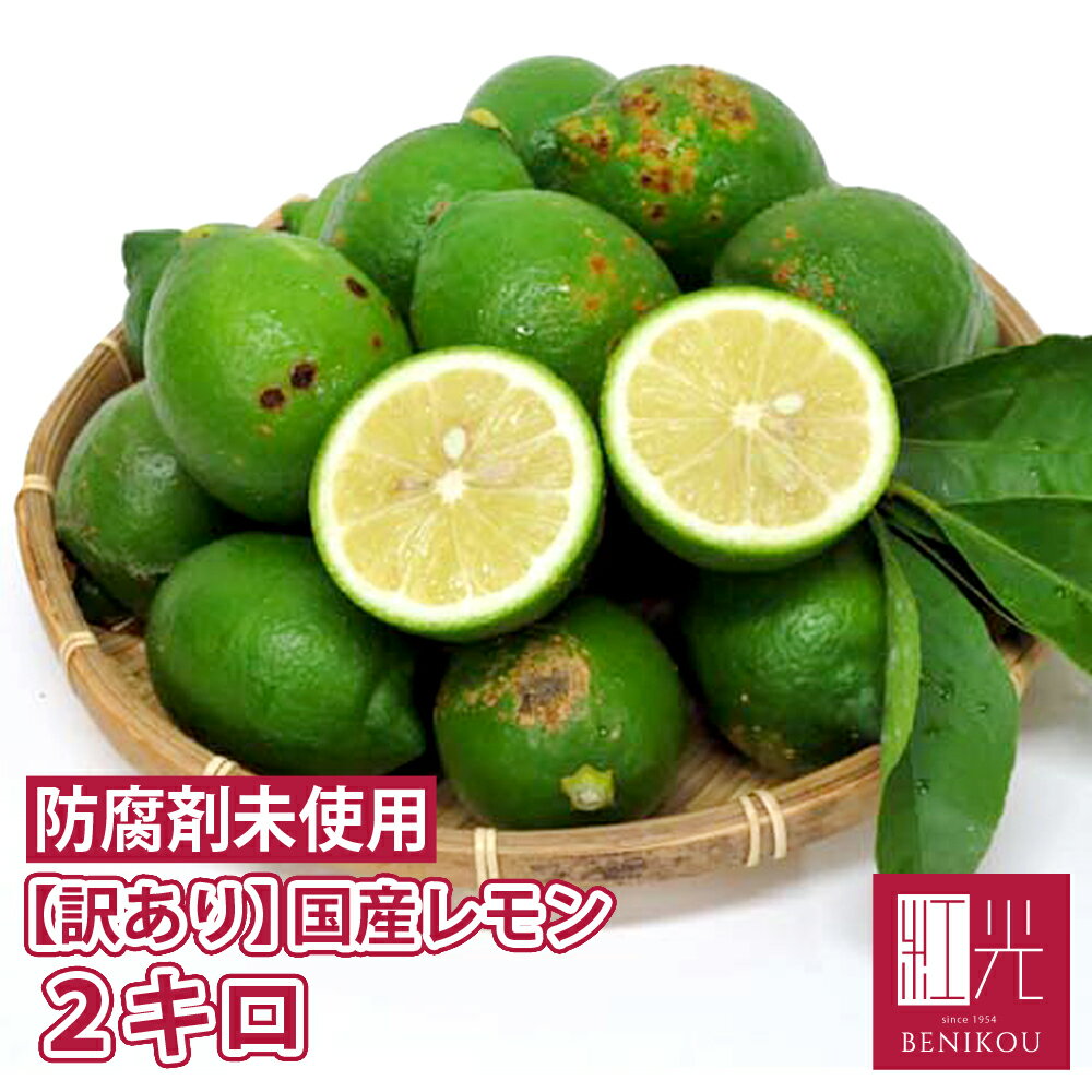【値下げ！500円OFF！2650円→2150円！】国産レモン 静岡産 訳あり B品 2kg 「北海道・沖縄への配送は+1100円」 レモン 国産 果汁 ノーワックス 防腐剤 防カビ剤 未使用 LEMON