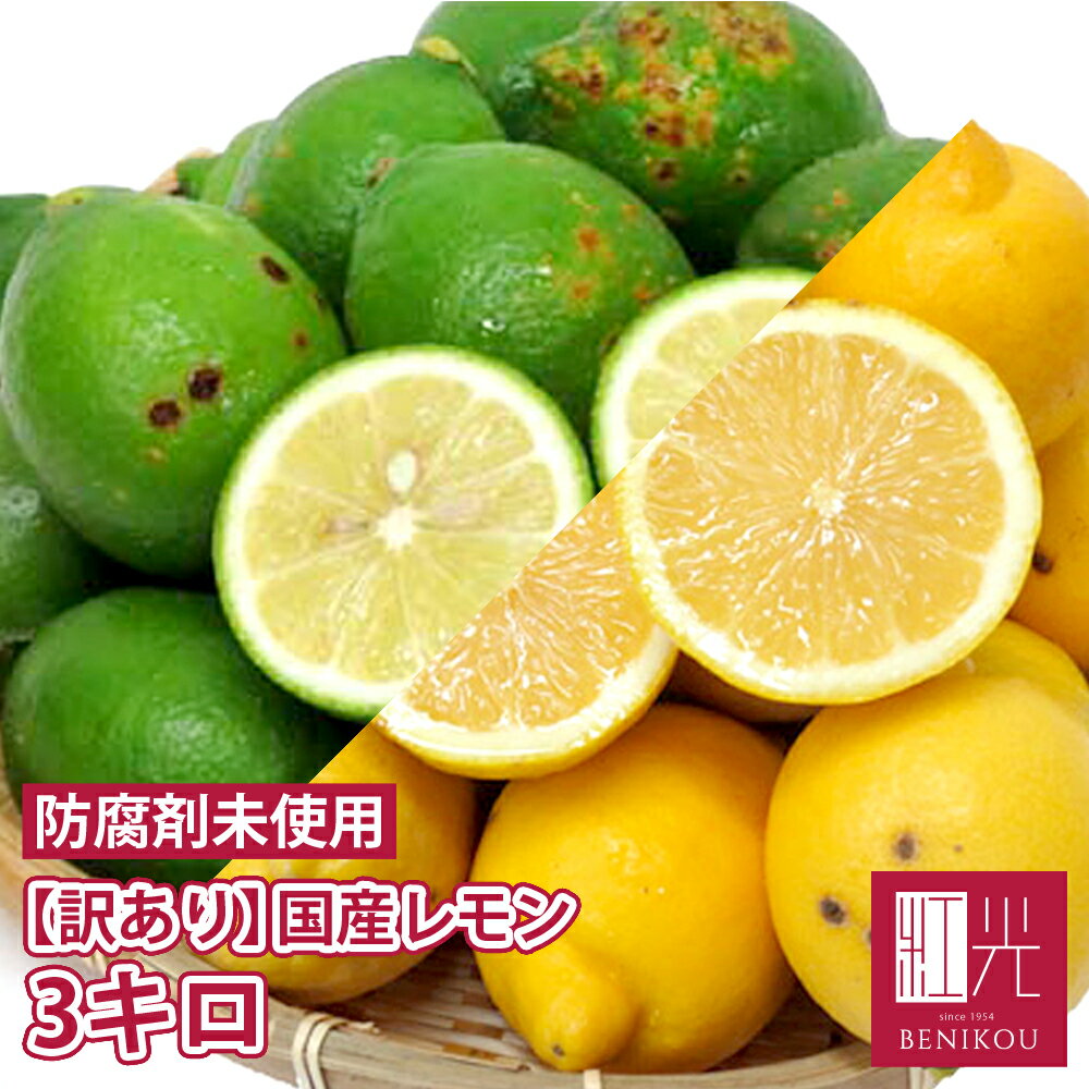 【即日出荷(営業日12:00まで(定休日除く)】国産レモン 静岡産 訳あり B品 3kg 「北海道・沖縄への配送は+1100円」 レモン 国産 果汁 ノーワック...