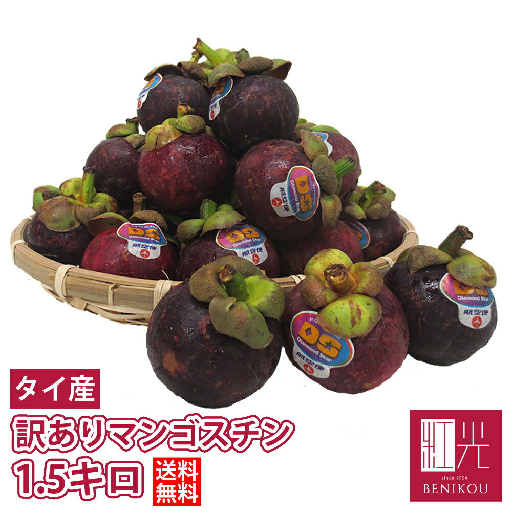 【今季販売終了】【予約・5月下旬頃出荷開始予定】タイ産 訳ありマンゴスチン 約1.5kg (約17〜27個) 一番品質が良い農園のものにこだわって 「北海道・沖縄は+1100円」のサムネイル