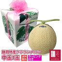 【送料無料】ラッピング 静岡産 クラウンメロン 中玉 1玉 (1.2kg前後) マスクメロン 箱入り 贈答 化粧箱入り ギフト 内祝い 果物 フルーツ 母の日 ...