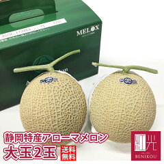 https://thumbnail.image.rakuten.co.jp/@0_mall/benikou/cabinet/melon/06522524/imgrc0081748624.jpg