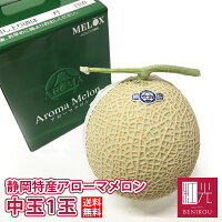 【送料無料】 静岡産 アローマメロン 中玉 1玉 (1.2kg前後) マスクメロン 箱入り ...