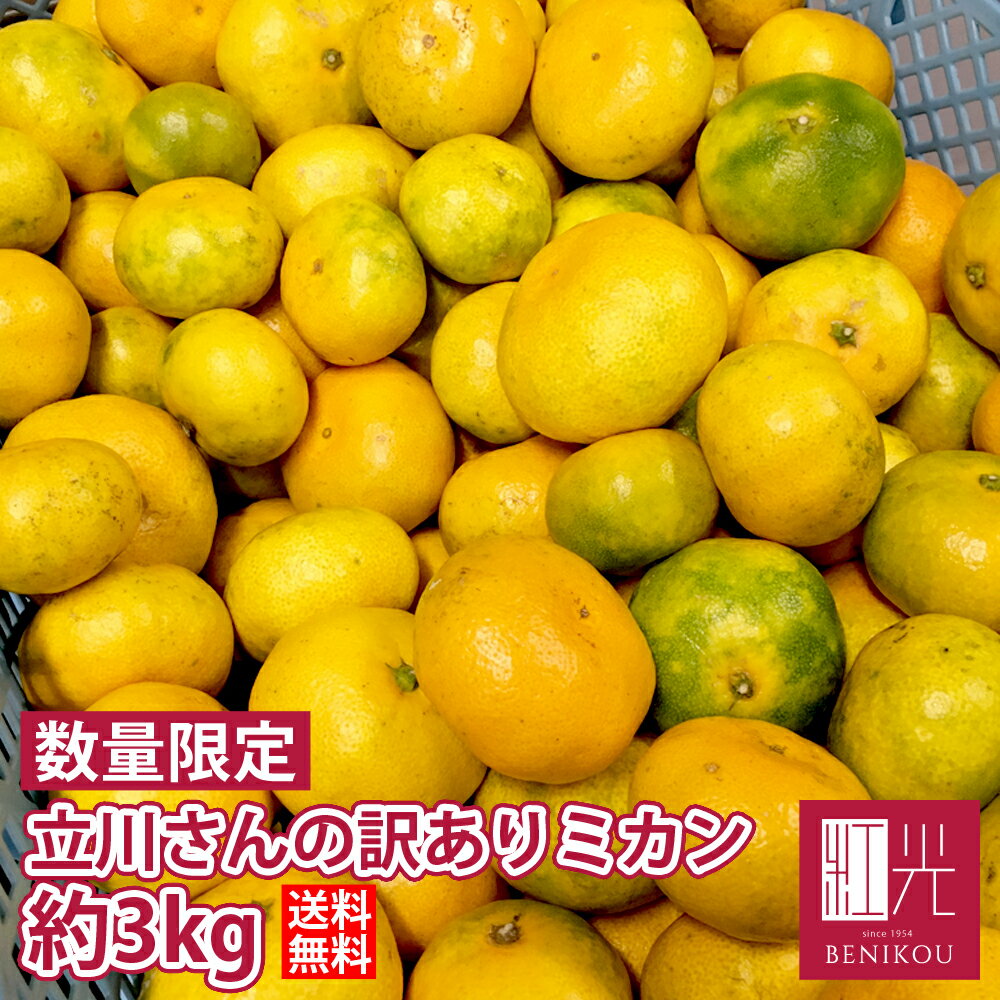 【即日出荷（営業日12：00まで(定休日除く)】静岡産 立川さんの低農...(4)