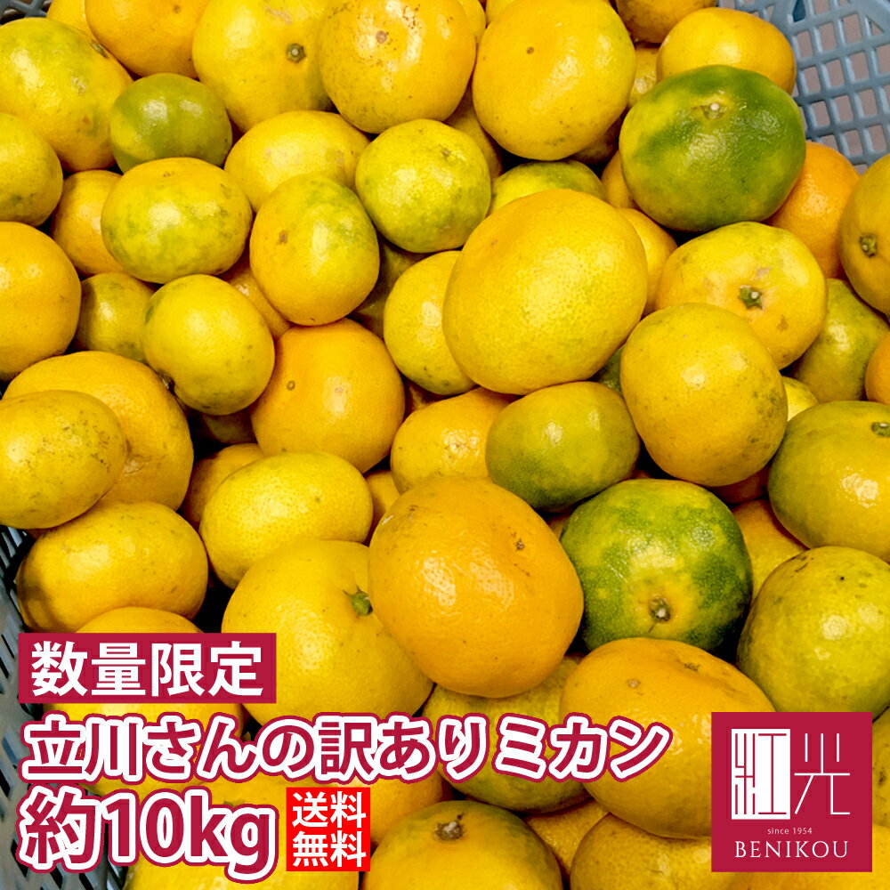 【即日出荷（営業日12：00まで(定休日除く)】静岡産 立川さんの低農...(4)