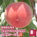 【送料無料】長野県下伊那の完熟桃 小箱 (約5〜6個) 【北海道・沖縄は+1100円】 果物 フルーツ モモ もも ギフト 贈答 家庭用 光センサー 選別