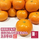 【予約・7月7日(月)より入荷開始】温室みかん すっごく甘い田中さんらの 完熟温室ミカン 約2.5kg (小玉サイズ約45〜70個入り) 「北海道・沖縄宛ては+...