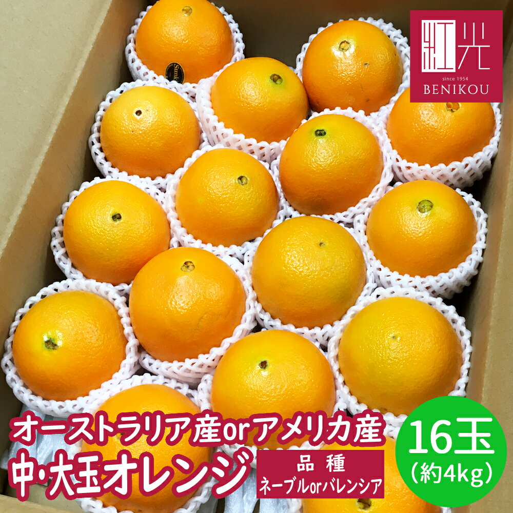 【送料無料】オレンジ 16玉 約4kg 北海道・沖縄は+1100円 アメリカ産 オーストラリア産 ネーブル バレンシア 柑橘 ジュース 輸入品 果物 フルーツ