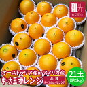 【送料無料】オレンジ 21玉（約5kg）「北海道・沖縄は+1100円」 アメリカ産 オーストラリア産 ネーブル バレンシア 柑橘 ジュース 輸入品 果物 フルーツ その1