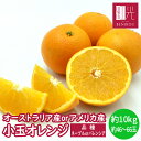 【送料無料】オレンジ 約10kg（46〜66玉）「北海道・沖