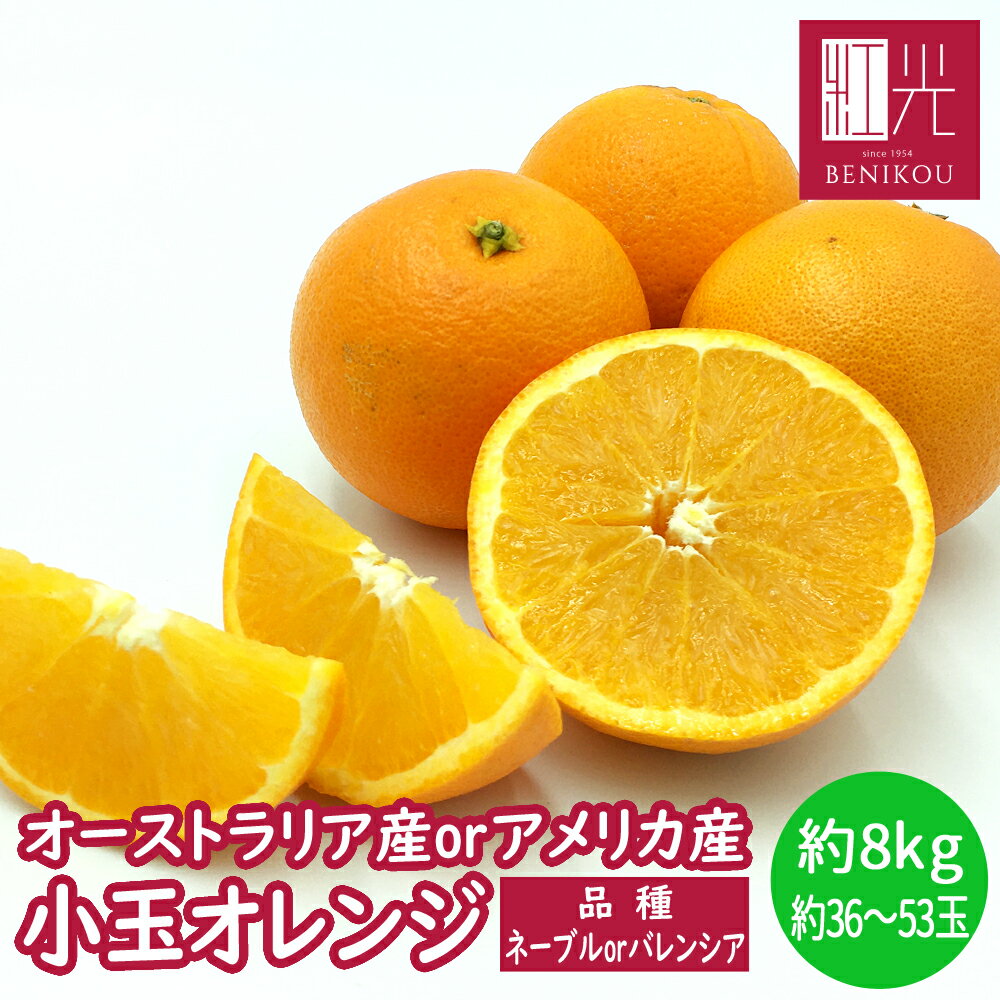 【送料無料】オレンジ 約8kg(36〜53玉)「北海道・沖縄は+1100円」 アメリカ産 オーストラリア産 ネーブル バレンシア 柑橘 ジュース 輸入品 果物 フルーツ