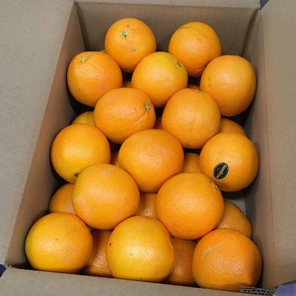 ����� ��5kg��24��33�̡ˡ��̳�ƻ�������+1100�ߡ� ����ꥫ�� �������ȥ�ꥢ�� �͡��֥� �Х�󥷥� ���� ���塼�� ͢���� ��ʪ �ե롼��