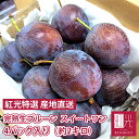 【予約・9月上旬〜中旬頃出荷開始予定】北海道仁木町山田さんの 完熟生プルーン (スイートワン) 4パック入り (約2kg) (4パックで約35〜50個前後) 果...