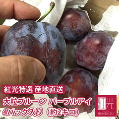 https://thumbnail.image.rakuten.co.jp/@0_mall/benikou/cabinet/prune/imgrc0079043695.jpg