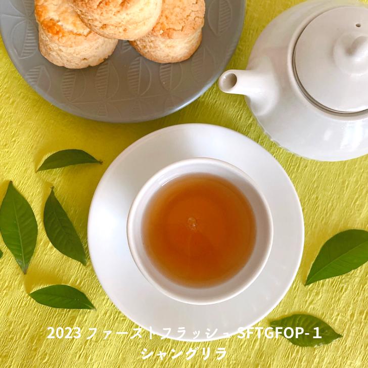 シャングリラ 2023 SFTGFOP 1　ファーストフラッシュ ネパールティー ネパール 茶葉 リーフ 50g ティーバッグ 16個 紅茶 イラムティー 紅茶専門店 紅くろ 紅茶専門店紅くろ 専門店 美味しい紅茶 レッサーパンダ 無添加 無農薬