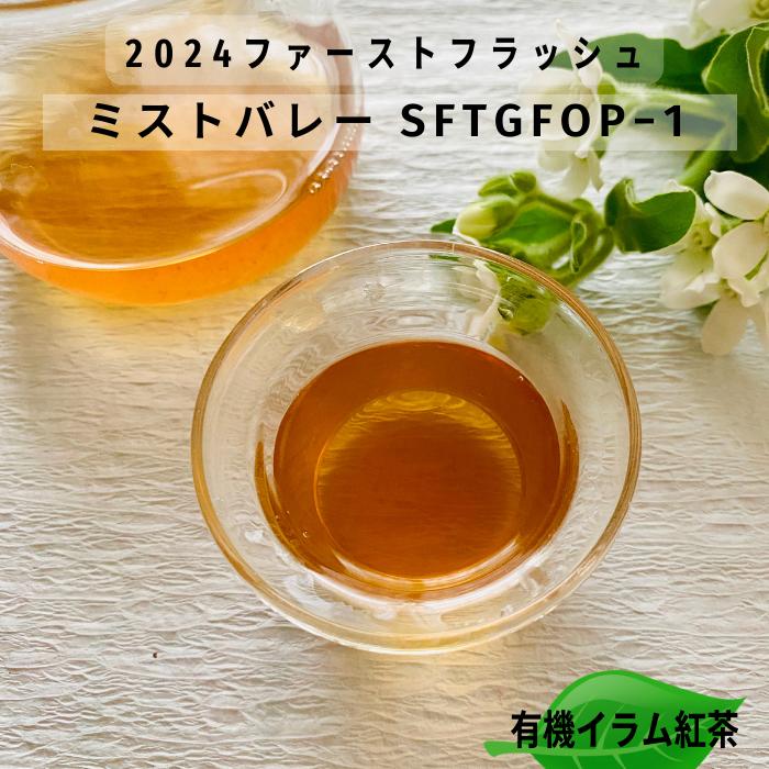 お買い物マラソン ポイント5倍 ネパールティー ミストバレー 2024 ファーストフラッシュ 紅茶 茶葉 ティーバッグ リーフ イラム紅茶 紅茶専門店 紅くろ 美味しい紅茶 レッサーパンダ 無添加 無農薬 無香料 有機紅茶 香り オーガニック ダージリン 中国茶 世界の紅茶
