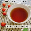 紅茶 ネパールティー カンチェンジュンガ 2024 ファーストフラッシュ 紅茶 茶葉 ティーバッグ リーフ イラム紅茶 紅茶専門店 紅くろ 美味しい レッサーパンダ ネパール紅茶 無添加 無農薬 無香料 有機 香り オーガニック ダージリン 中国茶