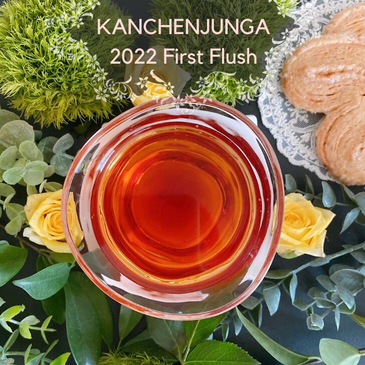 楽天紅茶専門店 紅くろカンチェンジュンガ 2022 ファーストフラッシュ ネパール リーフ 50g ティーバッグ 16個 紅茶 美味しい紅茶 春摘み イラムティー ネパールティー 紅茶専門店 紅茶専門店紅くろ 紅くろ レッサーパンダ 無添加 無農薬