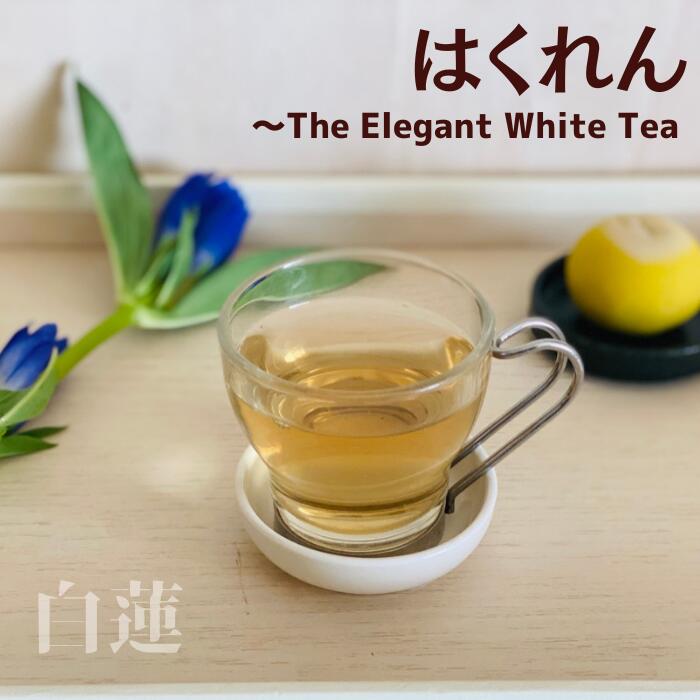 はくれん 白茶 リーフ 50g ティーバッグ 16個 ネパール ホワイトティー 茶葉 ネパールティー イラムティー ギフト 美味しい紅茶 紅茶 紅茶専門店 紅くろ 紅茶専門店紅くろ benikuro 紅クロ 無添加 無香料のサムネイル