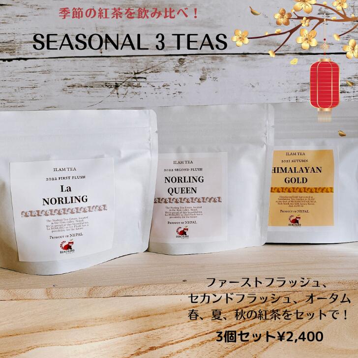 紅茶（2000円程度） プレゼント ギフト 紅茶 ティーバッグ ギフト ティー アソート ネパール イラムティー ネパールティー 紅茶 ティーバッグ 各8個 茶葉 リーフ 各25g 美味しい紅茶 アウトドア ギフト 紅くろ 紅茶専門店 紅茶専門店紅くろ