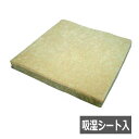 車いす用クッション 体圧分散クッション ルナール 吸湿シート入り ベージュ (40×40×4cm)【送料無料】