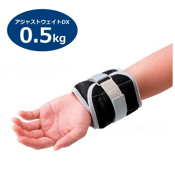 淡野製作所 アジャストウェイトDX 0.5kg 2個入り D-5355【送料無料】