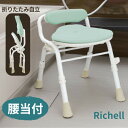 やわらかシャワーチェア クレオ 折りたたみ 防カビプラス【腰当付】 幅39cm ライトグリーン (リッチェル)姿勢保持 風呂イス お手入れ簡単 やわらか座面 6段階高さ調節 円背 【送料無料】
