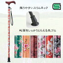 愛杖Eシリーズ 伸縮 柄(ケイ・ホスピア)スリムネック 軽量 杖 アルミ 介護用品 シニア つえ おしゃれ 歩行 人気 シンプル 握りやすい 散歩 お出かけ 花...