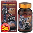 「7/26AM1:59迄エントリーでP5倍」オリヒロ 新・牡蠣エキス粒(120粒)