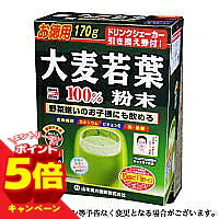 【エントリーでP5倍】山本漢方 大麦若葉粉末100％ 170g