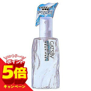 Skin Care - 【エントリーでP5倍】ギャツビー(GATSBY) シャワーフレッシュ アクアムスク 60mL