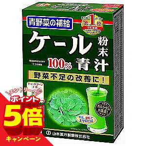 【エントリーでP5倍】山本漢方 ケール粉末100％ 青汁 85g